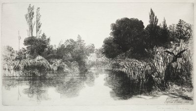 Shere Mill Pond, nr. 11 (Den store platen) av Francis Seymour Haden
