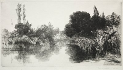 Shere Mill Pond, nr. 11 The Large Plate, 1860 og senere. av Francis Seymour Haden