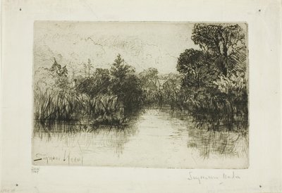 Shere Mill Pond, nr. I (liten tallerken) av Francis Seymour Haden