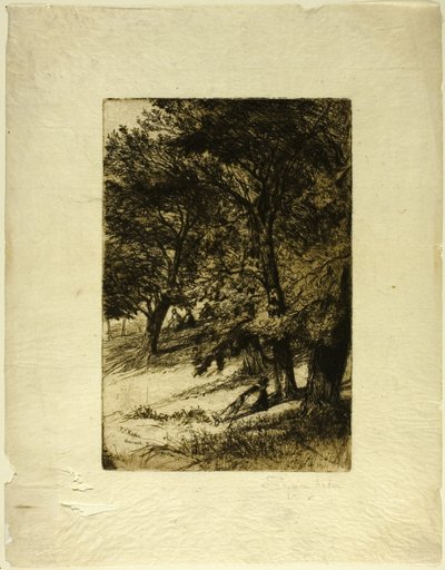 Under taket... av Francis Seymour Haden