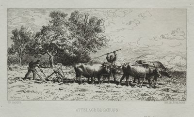 Team av okser av Francis Seymour Haden