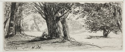 The Holly Field av Francis Seymour Haden
