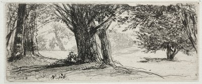 Holly Field. av Francis Seymour Haden