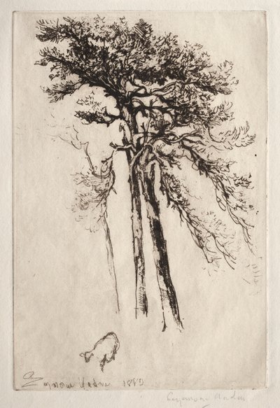Det siste treet av Francis Seymour Haden