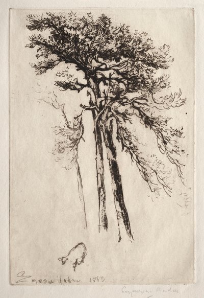Det siste treet, 1882. av Francis Seymour Haden