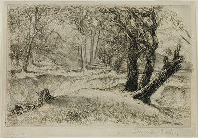 De tre søstrene av Francis Seymour Haden