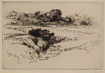 Vindmøllebakke nr.2 av Francis Seymour Haden