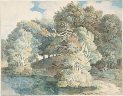  av Francis Towne
