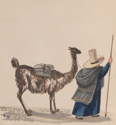 En kvinne som går med en lama, fra en gruppe tegninger som viser peruansk kostyme, ca. 1848. av Francisco