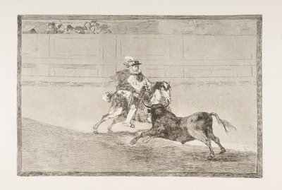 Plate 13 av 