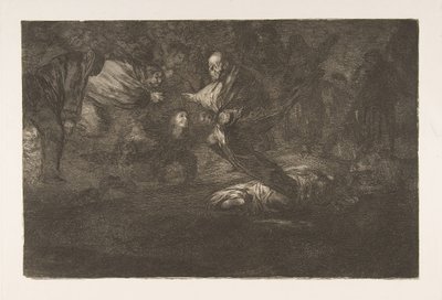 Plate 18 fra 