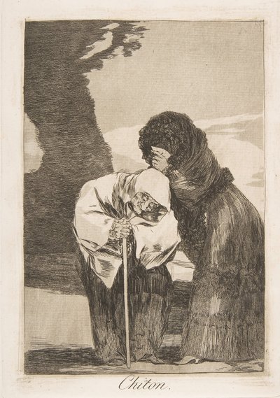 Plate 28 fra 