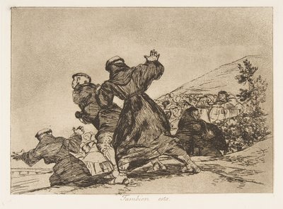 Plate 43 fra 