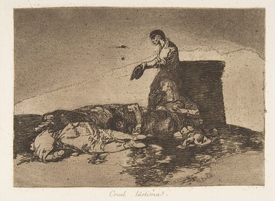 Plate 48 fra 