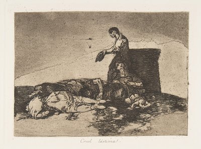 Plate 48 fra 