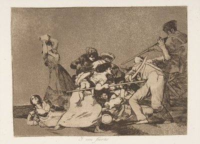 Plate 5 fra 