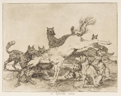 Plate 78 fra 