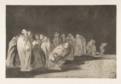 Plate 8 fra 
