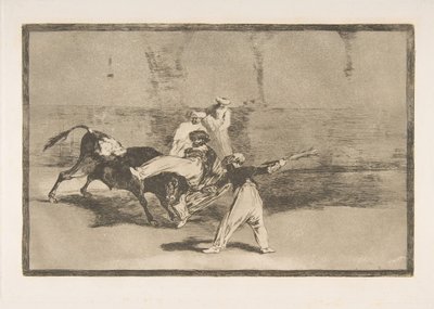 Plate 8 fra 