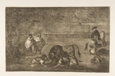 Plate C: Hundene slipper løs på oksen., ca. 1816. av Francisco de Goya