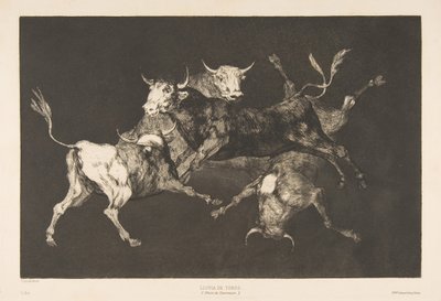Plate D fra Disparates: Fools-or Little Bulls - dårskap, ca. 1816-23 utgitt 1877. av Francisco de Goya