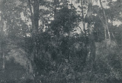 Indian Cabins, 1895 av Francisco Henszler