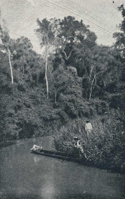 S. Anastacio-elven, 1895 av Francisco Henszler