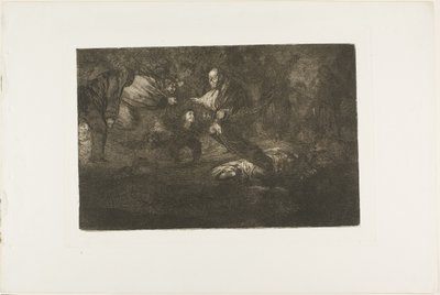 Gud skaper dem og de slår seg sammen, plate 18 fra Los Proverbios av Francisco Jose de Goya y Lucientes