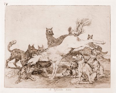 The Disasters of War : Han forsvarer seg godt (etsing fra forberedende tegning av Francisco de Goya