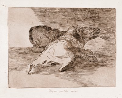 The Disasters of War : Han høster noen fordeler (Gravering fra den forberedende tegningen av Francisco de Goya