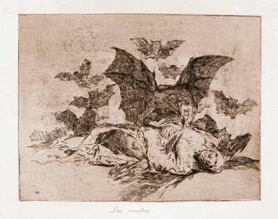 The Disasters of War: Resultatene (etsing fra forberedende tegning av Francisco de Goya