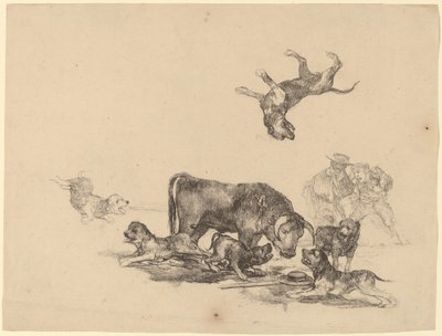 Okse angrepet av hunder av Francisco de Goya