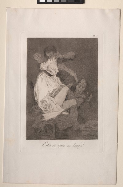 Caprichos: Det er absolutt å kunne lese av Francisco de Goya
