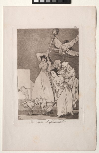 Caprichos: There They Go Plucked (dvs. fleeced) av Francisco de Goya
