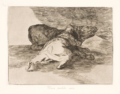 Det får noe ut av det! (40) av Francisco de Goya