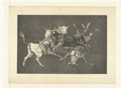 Dårskap av de små oksene Ulike de tontos Los Disparates (The follies) (serietittel) Los Proverbios (Ordspråkene) (serietittel) av Francisco de Goya
