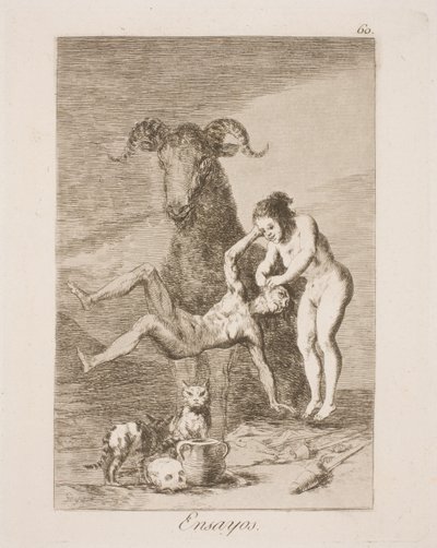 Forsøk av Francisco de Goya