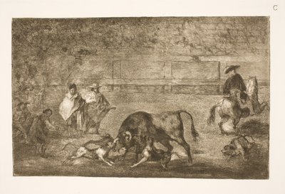 Hundene er polert på oksen av Francisco de Goya
