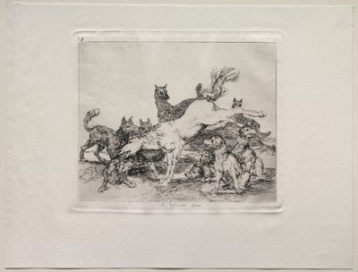 Krigens redsler: Han forsvarer seg godt av Francisco de Goya