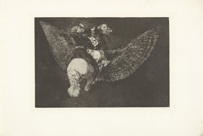 flyvende dårskap Ulik volante Los Disparates (The follies) (serietittel) Los Proverbios (Ordspråkene) (serietittel) av Francisco de Goya