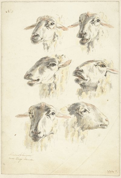 Studieark med seks sauehoder av Franciscus Andreas Milatz (attributed to)