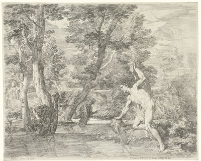 Narcissus av Franciscus de Neve