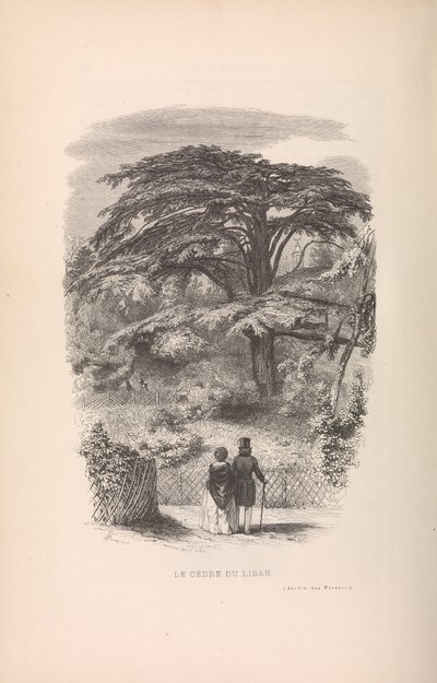 Den botaniske hagen, beskrivelser og oppførsel av pattedyr, 1842. av Francois Boitard