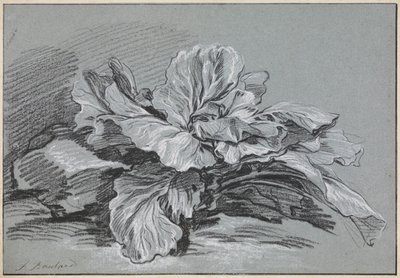  av François Boucher