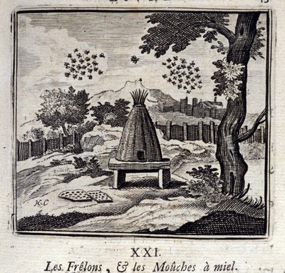 Hornets og honningfluer. Fabler av Jean de La Fontaine (1621-95). Illustrasjon av Francois Chauveau (1613-1676). Utgave av 1728. av Francois Chauveau
