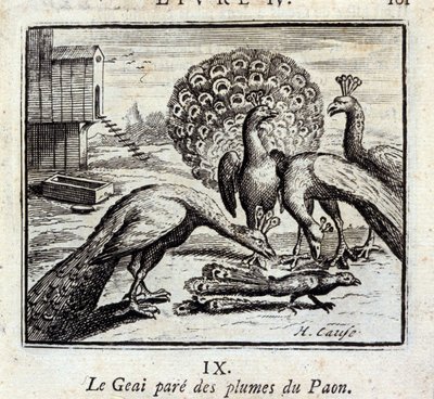 Jay pryder påfuglfjær. Fabler av Jean de La Fontaine (1621-95). Illustrasjon av François Chauveau (1613-1676). Utgave av 1728. av Francois Chauveau