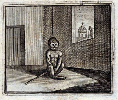 Apen. Fabler av Jean de La Fontaine (1621-95). Illustrasjon av François Chauveau (1613-1676). Utgave av 1728. av Francois Chauveau