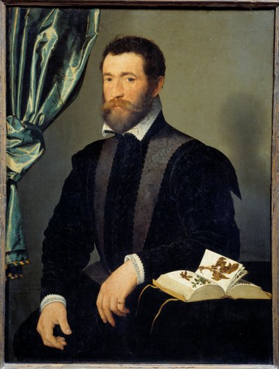 Portrett av apotekeren Pierre Quthe (1519-après 1588) Maleri av Francois Clouet (1515-1572) 1562 Søn. 0,91x0,7 m - Portrett av apotekeren Pierre Quthe (1519- ca1588). Maleri av Francois Clouet (1515-1572) av François Clouet