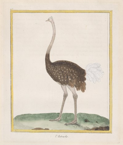 Struts struts, 1770-86. av Francois Nicolas Martinet
