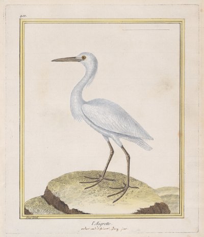 Egret Egret, 1770-86. av Francois Nicolas Martinet